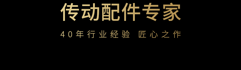 40年齒條傳動(dòng)配件專家品質(zhì)保障 40年齒條傳動(dòng)配件專家品質(zhì)保障